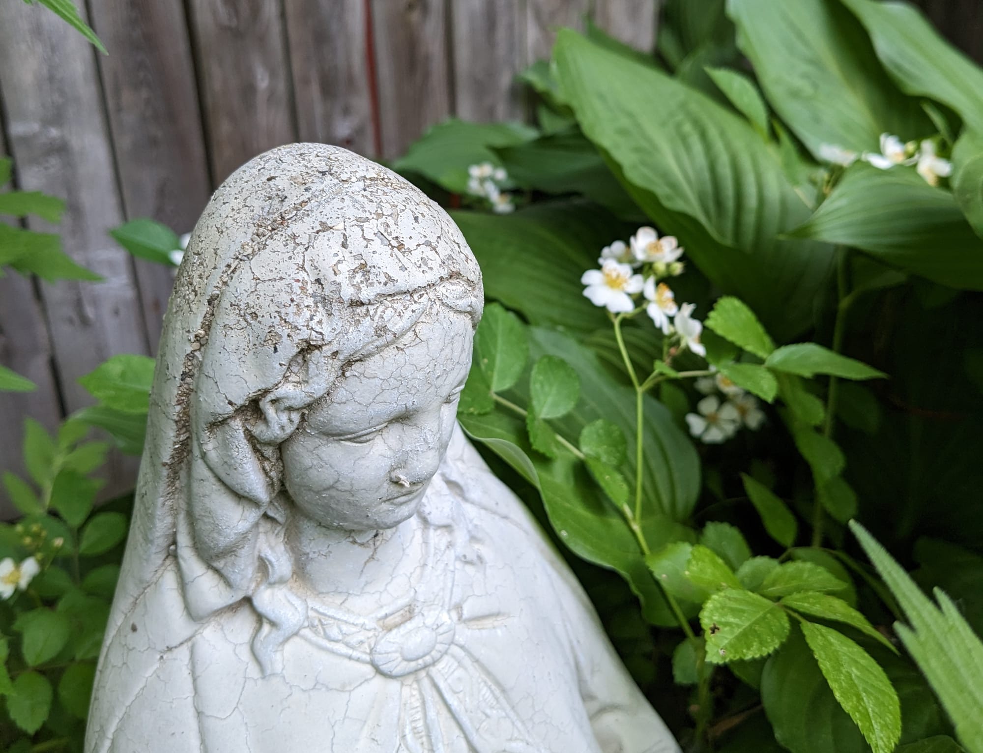 Mary in the Garden